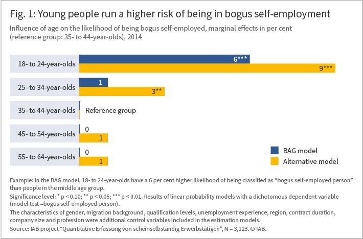 The Figure shows that young people run a higher risk of being in bogus self-employment